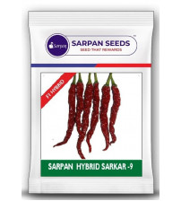 Chilli / Hot Pepper Sarpan Hybrid Saekar-9 10 grams